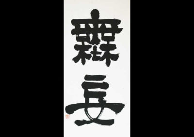 “Inaspettato 無妄”, Calligrafia sino-giapponese – inchiostro calligrafico su carta di riso, 35 x 70 cm