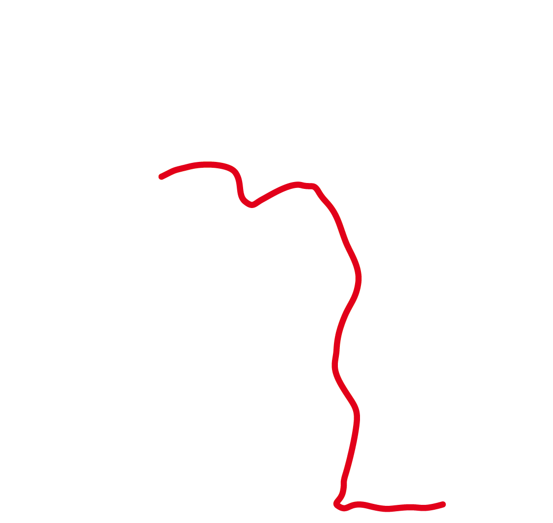 DIECIMANI