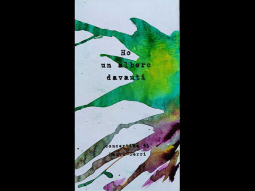 “HO UN ALBERO DAVANTI_copertina” – China e acquerello – Libro d’artista, 15 x 28 cm